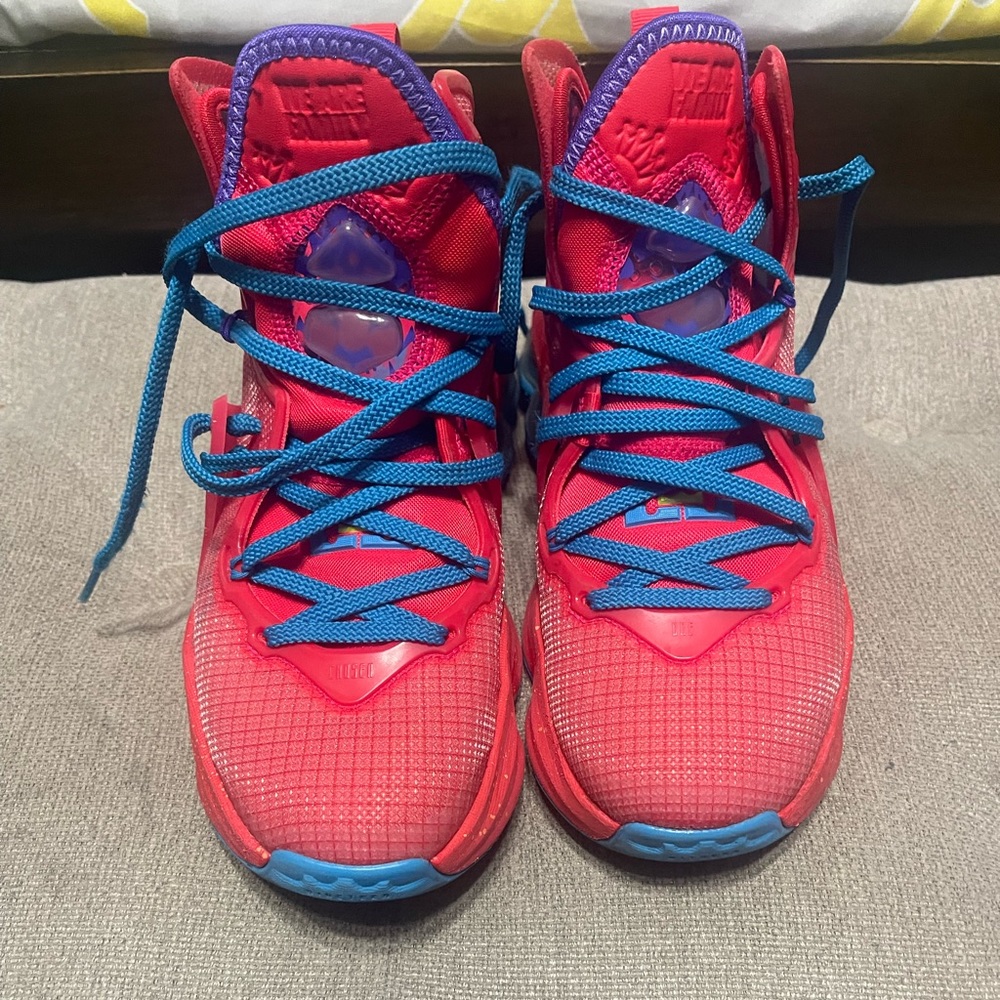 Lebron “We Are Family” Sneakers